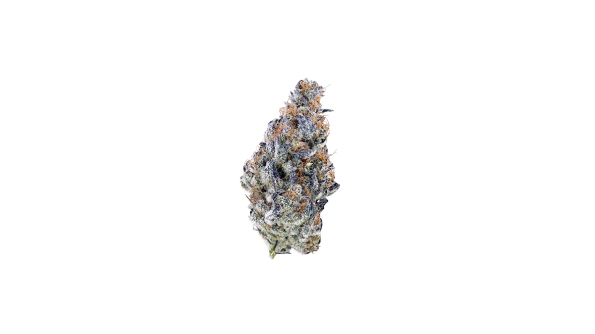 Avaay 27/1 SCG Super Citra G. – Medizinisches Cannabis