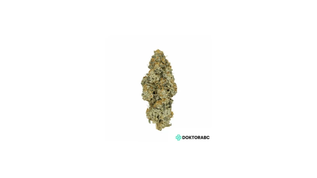 Cannabis flos CM 28/1 PO Platinum Oranges – Medizinisches Cannabis