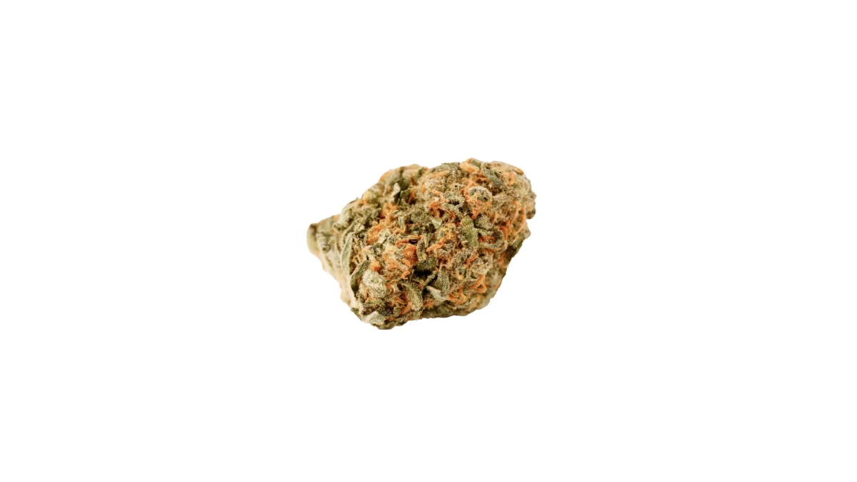 Cannamedical Hybrid classic NM (Gorilla Zkittlez) – Medizinisches Cannabis