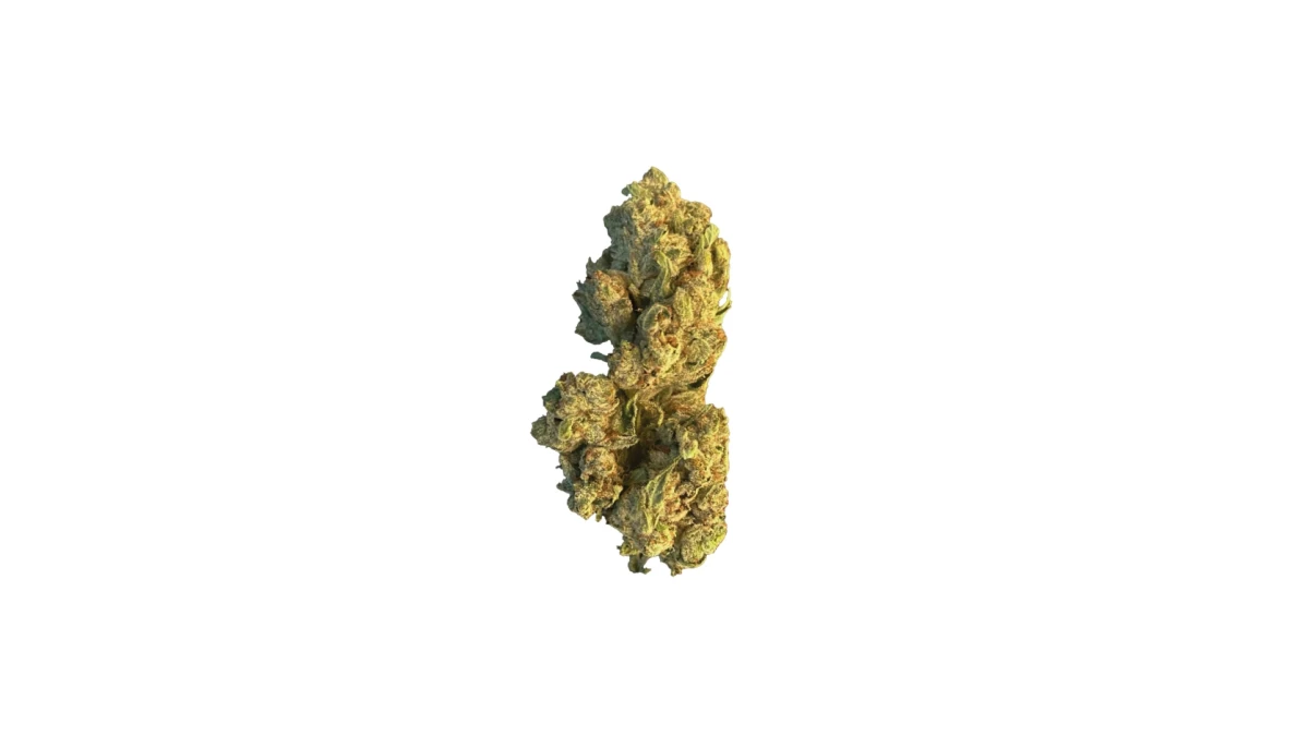Cannamedical Hybrid classic URY (White Gorilla) – Medizinisches Cannabis