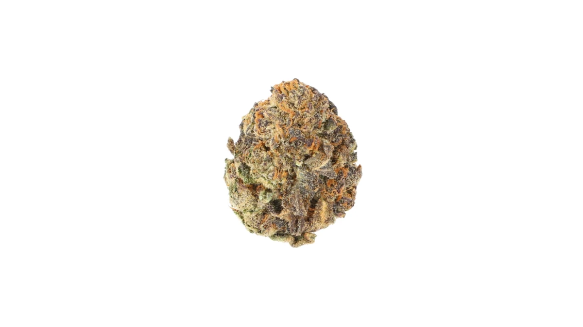 Cannamedical Indica forte MA (Crazy Rntz) – Medizinisches Cannabis