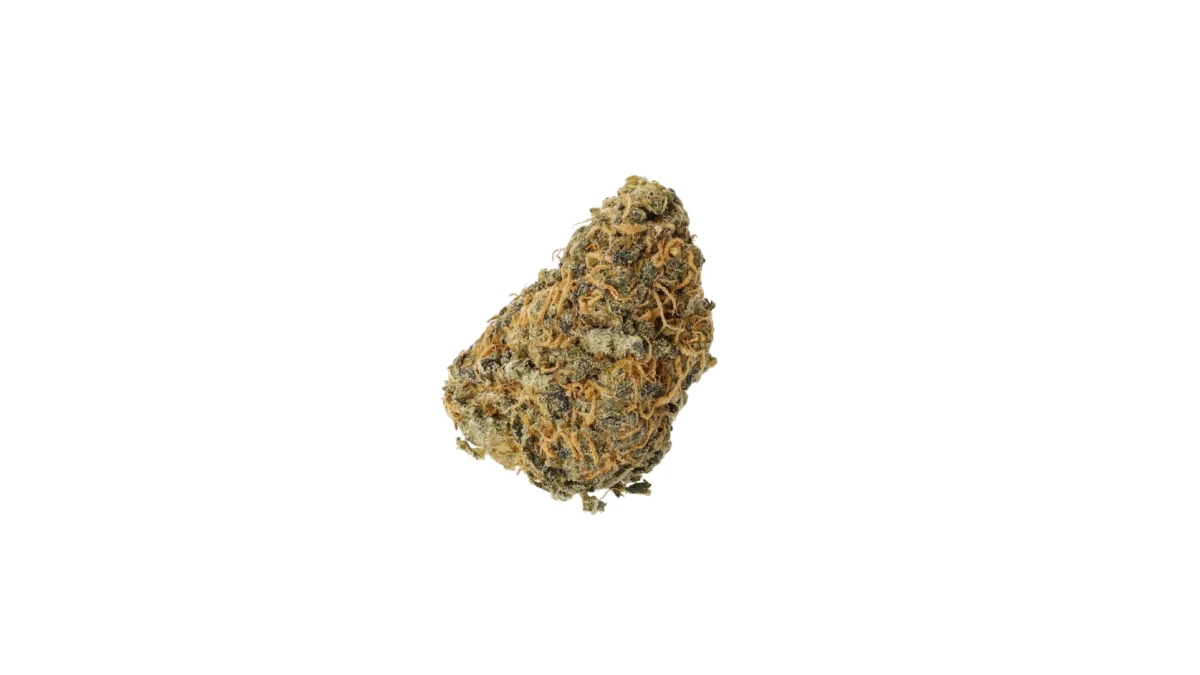 Cannamedical Sativa classic NM (Gelato Dream) – Medizinisches Cannabis