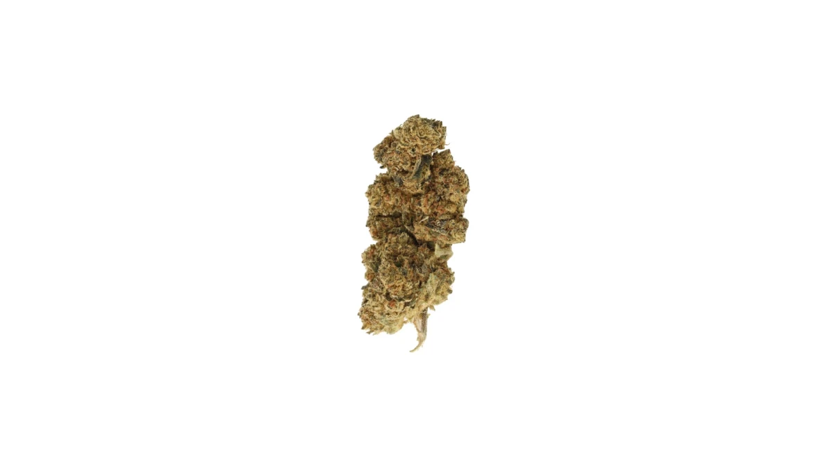 CM 20/1 GG4 (GG4) – Medizinisches Cannabis