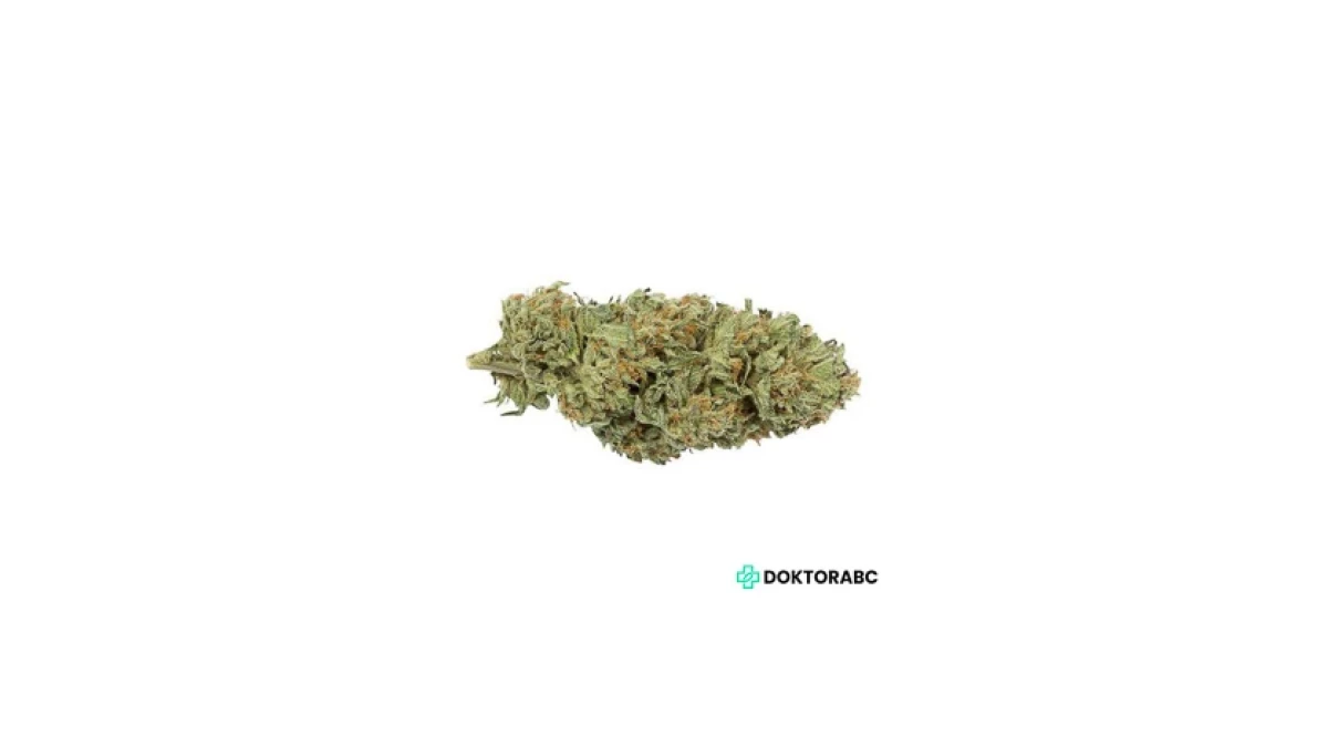 Demecan Typ 1 Bubba Kush – Medizinisches Cannabis