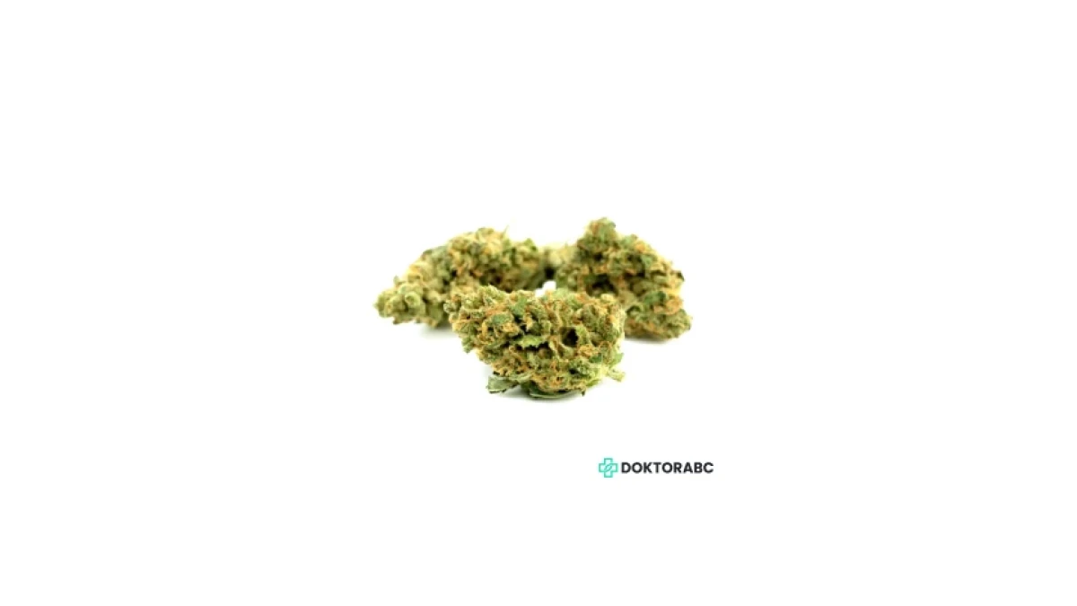 White Widow – Medizinisches Cannabis