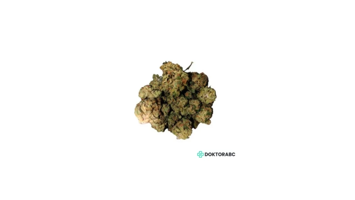 Frosted Lemon Angel – Medizinisches Cannabis